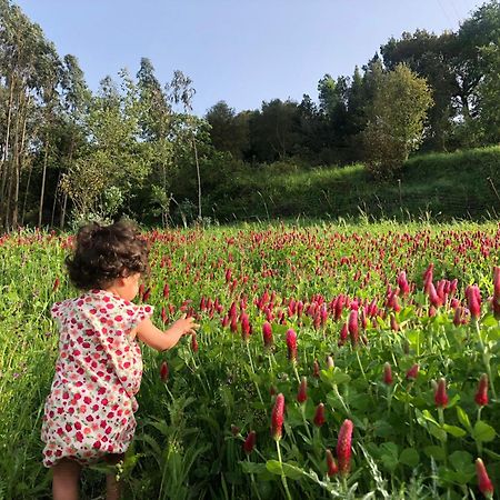 오비도스 Quinta Da Casa Azul 빌라 외부 사진