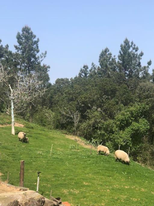 오비도스 Quinta Da Casa Azul 빌라 외부 사진
