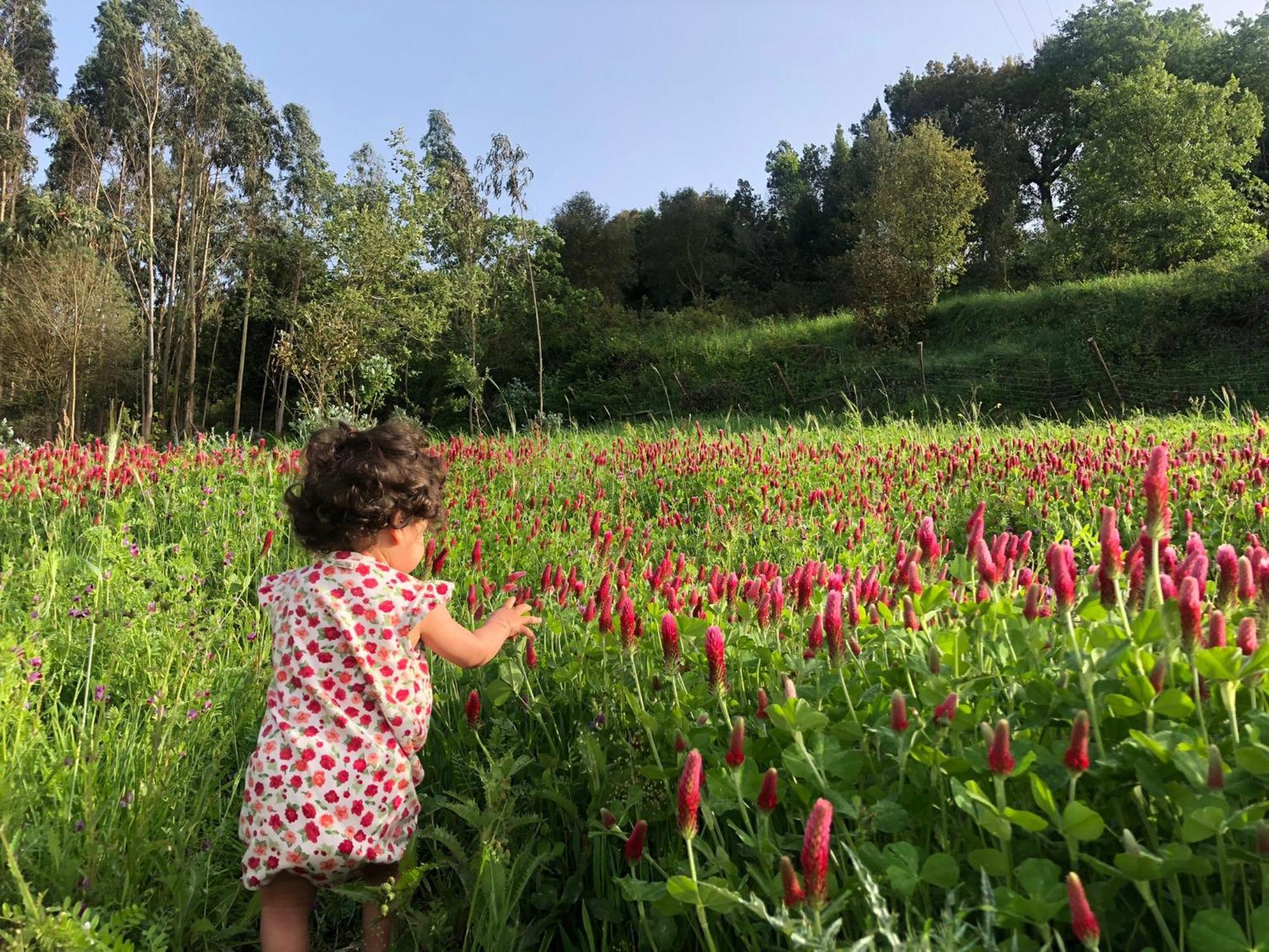 오비도스 Quinta Da Casa Azul 빌라 외부 사진