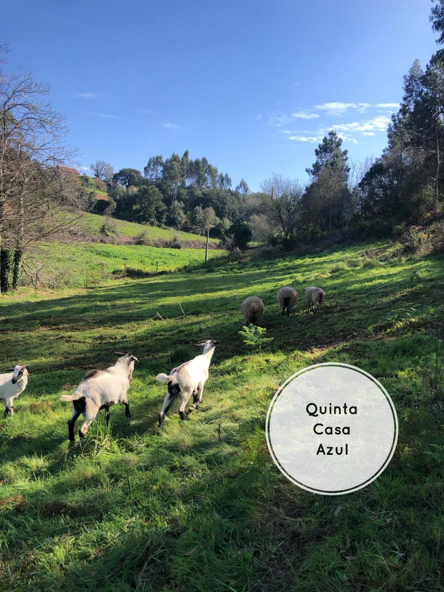 오비도스 Quinta Da Casa Azul 빌라 외부 사진